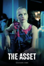 The Asset: Season 1
